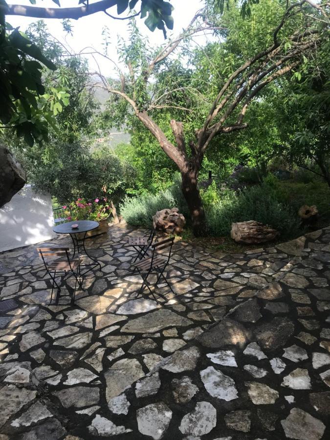 Apartament Gourgiana Andritsaina